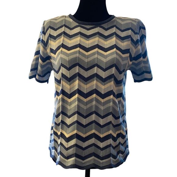 Alfred Dunner Blue Chevron Print Short Sleeve Knit Sweater Size Large Petite - Picture 1 of 11
